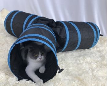 Cat 3-Way Tube Tunnels Collapsible Cat Play Tent Interactive Toy Maze with Balls and Bells - Blue