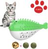 Fish Shape Built-in Small Bell Cat Pet Toothbrush Refillable Catnip Simulation Fish Teeth Cleaning 2 in 1 Chew Toys - green