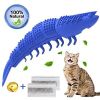 Lobster Shape Cat Toothbrush Interactive Chewing Catnip Toy Dental Care for Kitten Teeth Cleaning Leaky Food Device Natural Rubber Bite Resistance - b