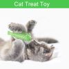 Fish Shape Built-in Small Bell Cat Pet Toothbrush Refillable Catnip Simulation Fish Teeth Cleaning 2 in 1 Chew Toys - green