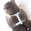 Touchcat 'Radi-Claw' Durable Cable Cat Harness and Leash Combo - Sky Blue - Medium