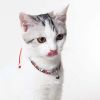 Touchcat Lucky Charms Designer Cable Necklace Cat Collar - Red