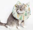 Touchcat 'Ringlet' Licking and Scratching Adjustable Pillow Cat Neck Protector - White - Small