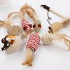 Cat Natural Sisal Wand Teasers and Exerciser for Kitten with Mouse Bell Feather etc. Cat Toy Collection in a Box - sisal