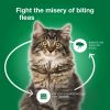 Vet-Recommended Flea Prevention for Large Cats +9 lbs;  6 Monthly Treatments - 6