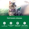 Vet-Recommended Flea Prevention for Large Cats +9 lbs;  6 Monthly Treatments - 6