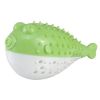 Fish Shape Built-in Small Bell Cat Pet Toothbrush Refillable Catnip Simulation Fish Teeth Cleaning 2 in 1 Chew Toys - green