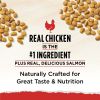 Purina Cat Chow Naturals Chicken & Salmon Original Dry Cat Food 18 lb Bag - Cat Chow