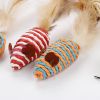 Cat Natural Sisal Wand Teasers and Exerciser for Kitten with Mouse Bell Feather etc. Cat Toy Collection in a Box - sisal