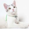 Touchcat Lucky Charms Designer Cable Necklace Cat Collar - Green